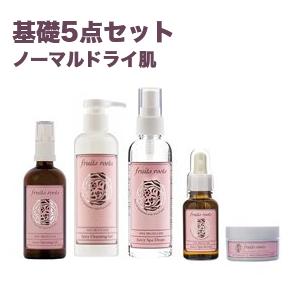ノーマルドライ肌用基礎5点セット