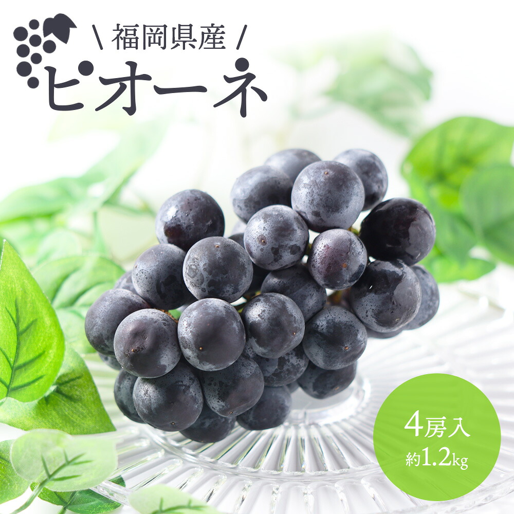 【楽天市場】ピオーネ ぴおーね 種無し 種なし 4房 約1.2kg 福岡県産 ぶどう ブドウ 葡萄 黒ぶどう 黒ブドウ フルーツ 果物 ケース ...