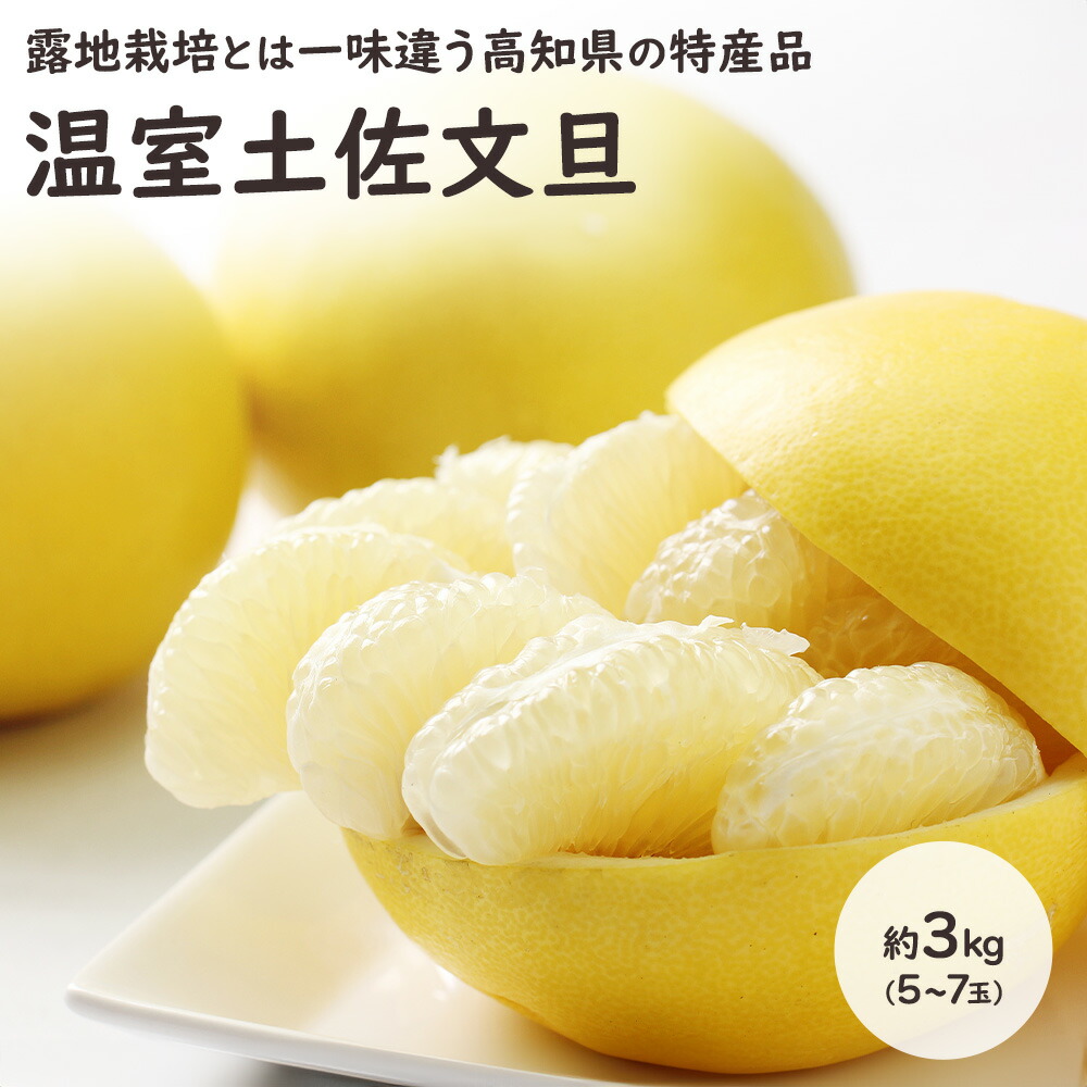 【楽天市場】温室土佐文旦 土佐文旦 文旦 ブンタン ぶんたん 柑橘 秀品以上 3kg 5-7玉入 フルーツ 高知 ギフト 贈答 贈り物 ...