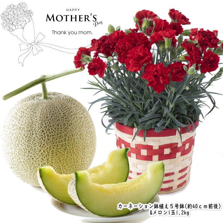【早割中!】 母の日 2026 カーネーション の 鉢植え & メロン 1玉 1.2kg 5号鉢 鉢植え 食品 プレゼント フルーツ 果物 果実 ギフト 贈答 [カーネーション・メロン 母の日]【MR】