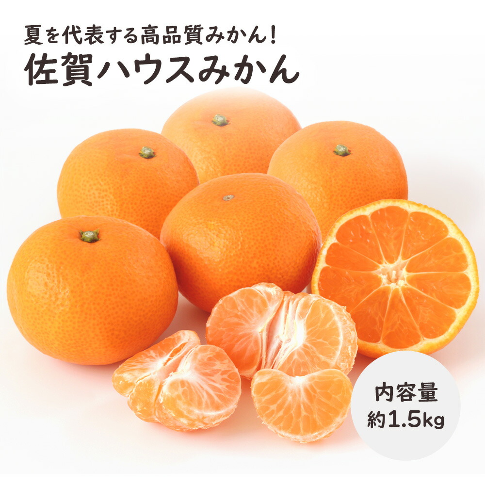 楽天市場】日向夏 みかん 秀品 1.3kg5−9玉 贈答用 JA 小夏 日向