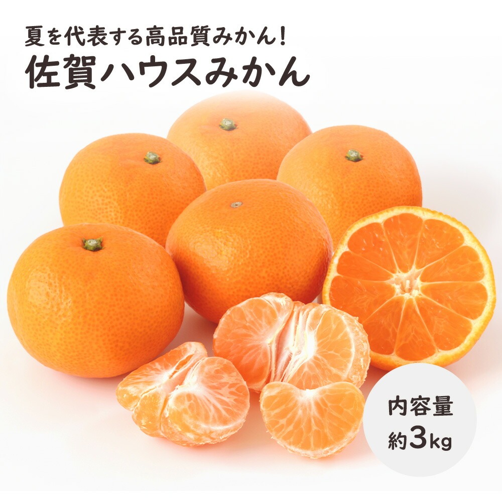ミカン 楽天市場】日向夏 みかん 秀品 1.3kg5−9玉 贈答用 JA 小夏 日向