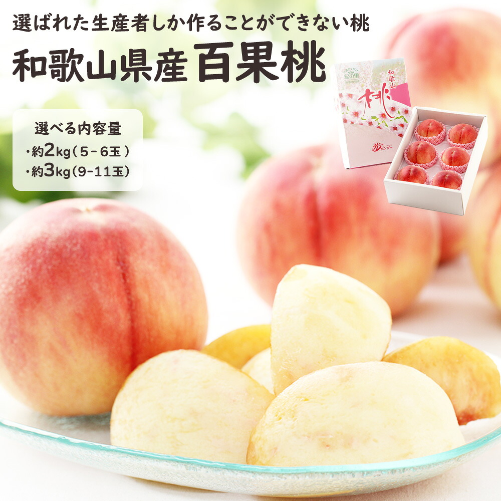 百果桃 和歌山 選べる内容量 2kg 3kg 紀の里 紀の川 桃 もも モモ フルーツ 果物 お中元 御中元 化粧箱 ギフト 贈答 プレゼント 贈り物 お祝い 御祝 記念日 誕生日 お見舞い お供え 法事 法要 熨斗【MN】［百果桃］｜フルーツスタジオ＋