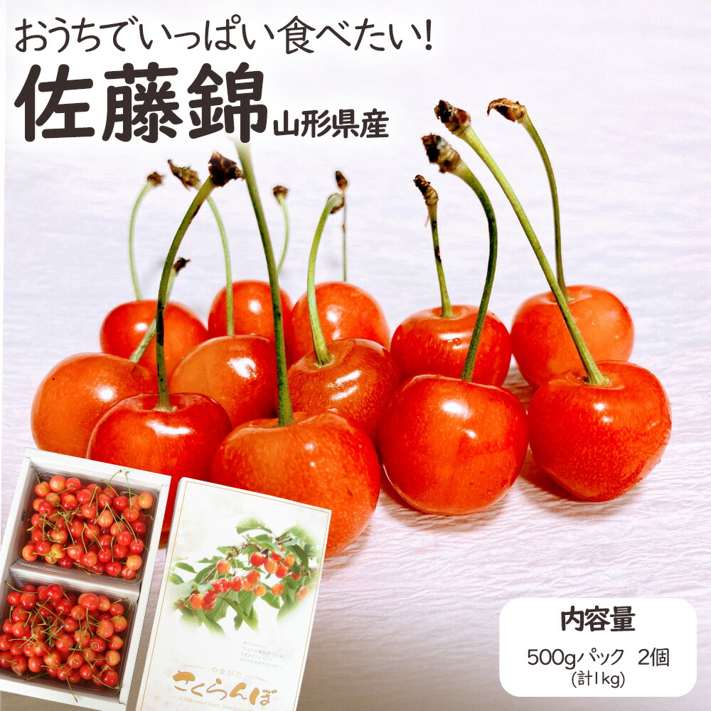 山形県産 さくらんぼ サクランボ 佐藤錦 500gパック 2個 1kg 産地直送 産直 フルーツ 果物 身内 ご自宅用 ご家庭用 【WI】 [佐藤錦 500gpk 2個 丸秀Ｍ以上]