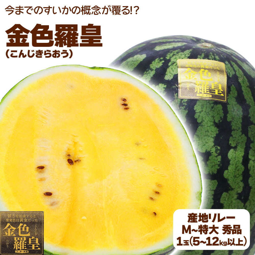 衝撃のサイズと甘さ、金色羅皇6L2玉セット24k前後箱込　かめまる食堂 de6851c17fa6ab8ebd63ca8f03acf5