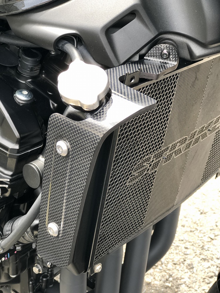 楽天市場】ストライカー ラジエターコアガード ZRX1200DAEG｜SS