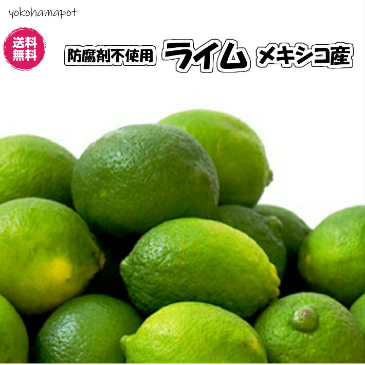 ライム　メキシコ産　20kg Amazon.co.jp: メキシコ産 フレッシュ キーライム (“ 中南米
