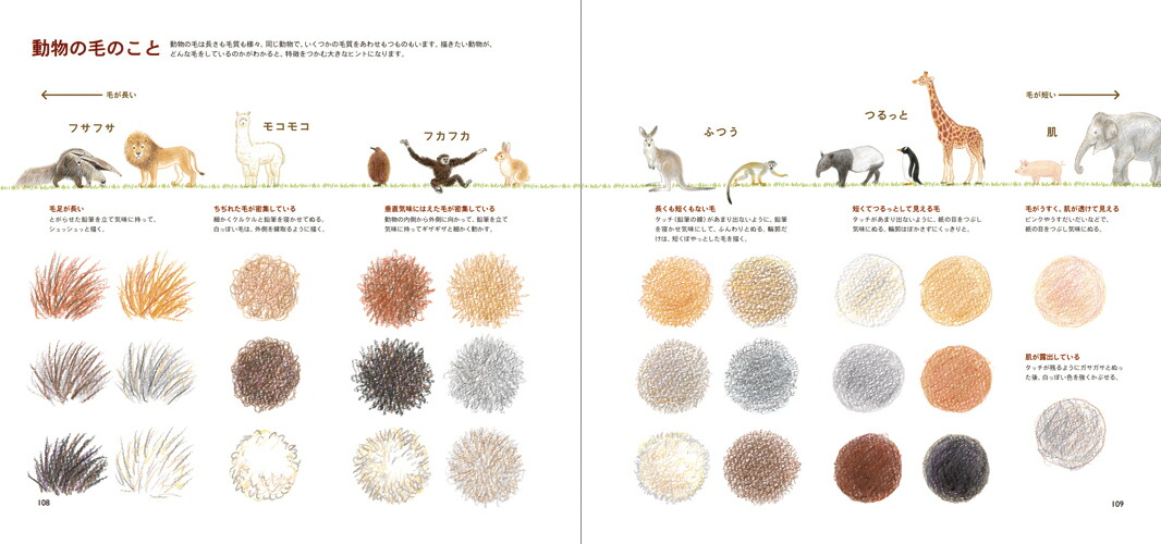 楽天市場 色えんぴつでかわいい動物 色鉛筆 書き方 イラスト テキスト 簡単 かわいい 練習 秋草 愛 特急名入れギフト Sympl