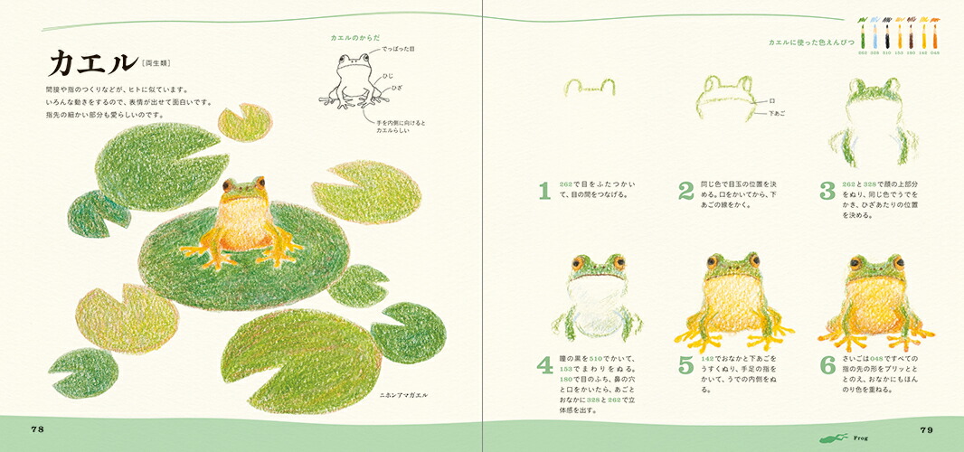 楽天市場 色えんぴつでかわいい水の生き物 色鉛筆 書き方 イラスト テキスト 簡単 かわいい 練習 秋草 愛 特急名入れギフト Sympl