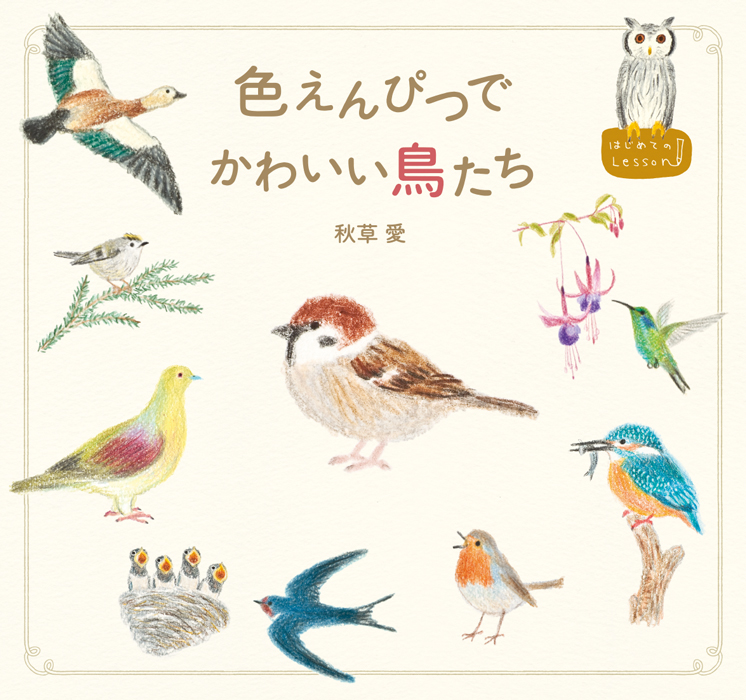 楽天市場 色えんぴつでかわいい鳥たち 色鉛筆 書き方 イラスト