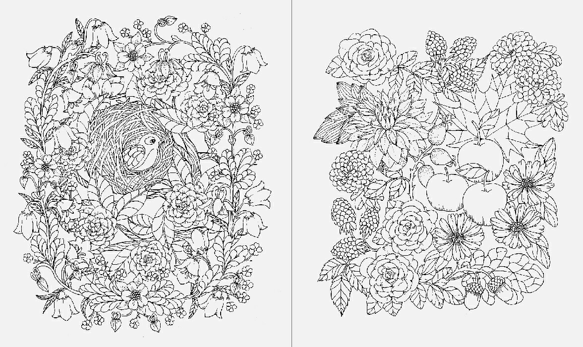 楽天市場 野の花のぬり絵ブック 大人の塗り絵 ぬりえ 色鉛筆 マリア トロッレ 特急名入れギフト Sympl