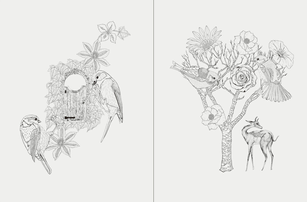 楽天市場 世界の美しい鳥と花のぬり絵ブック 大人の塗り絵 ぬりえ 色鉛筆 ディジー フレッチャー 特急名入れギフト Sympl