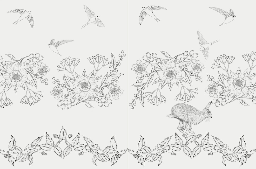 楽天市場 世界の美しい鳥と花のぬり絵ブック 大人の塗り絵 ぬりえ 色鉛筆 ディジー フレッチャー 特急名入れギフト Sympl