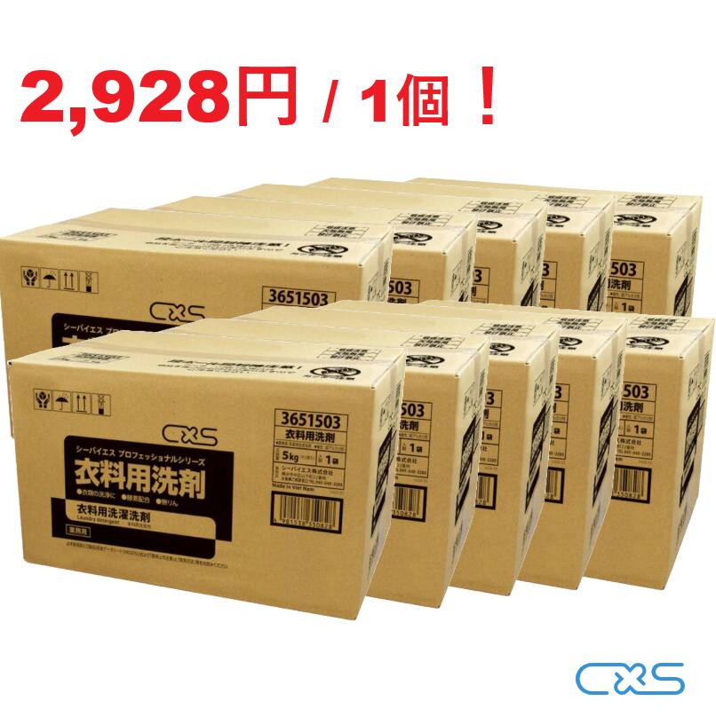 CxS（シーバイエス）衣料用洗剤 5kg 10個