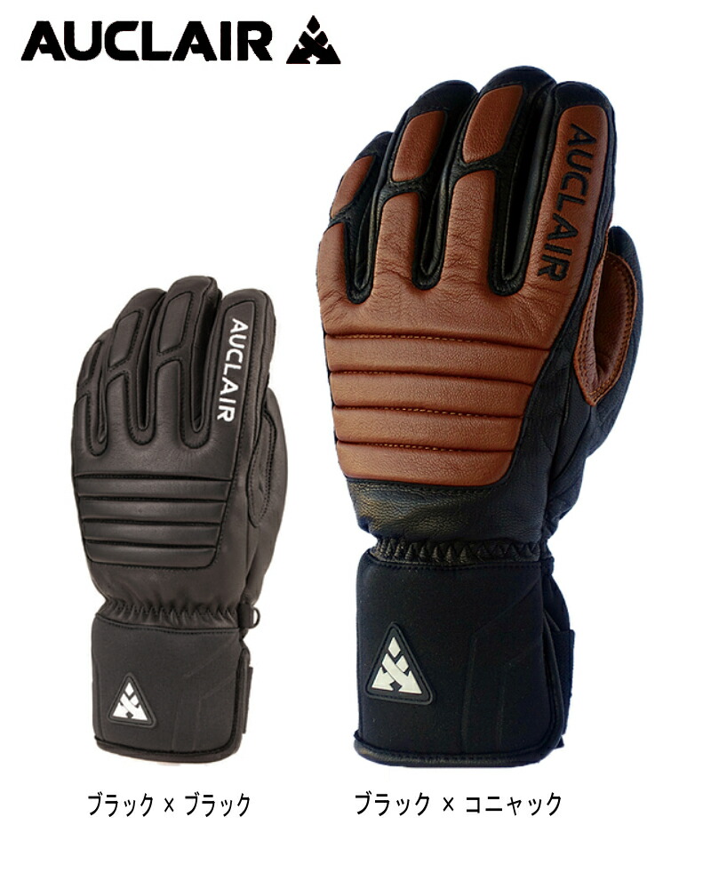 スキー・スノボ　グローブ 楽天市場】フェニックス Transcends Shade Gloves メンズ スキー