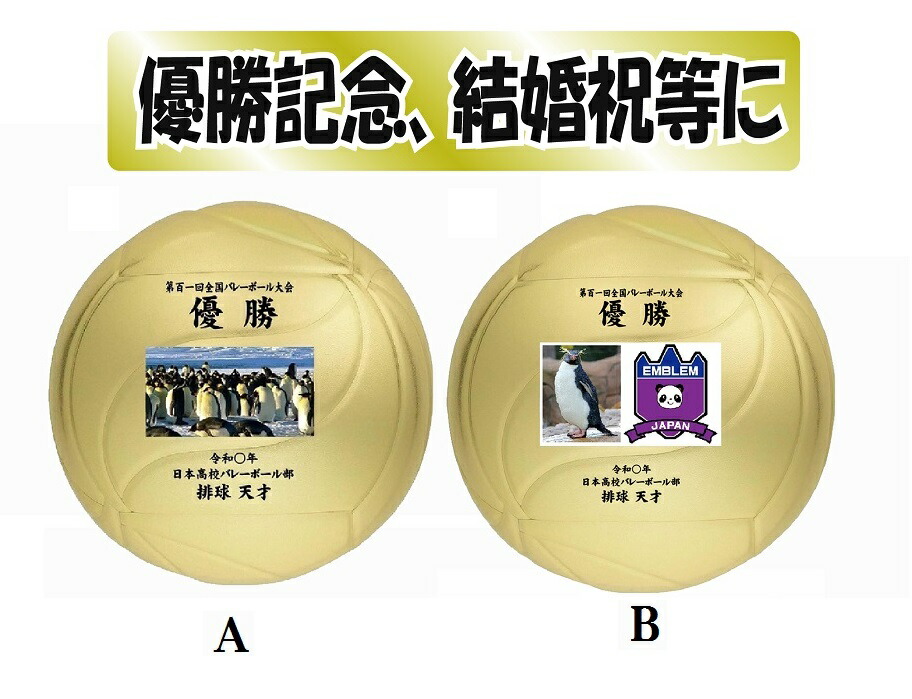 バレーボール　サイン入り Amazon.co.jp: 全日本男子バレー15名選手直筆サインボール