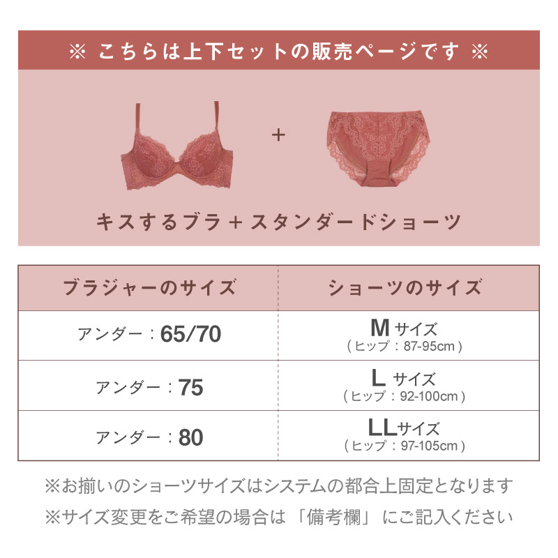 2冠達成】ブラショーツ 上下セット ブラジャー ショーツ セット 下着