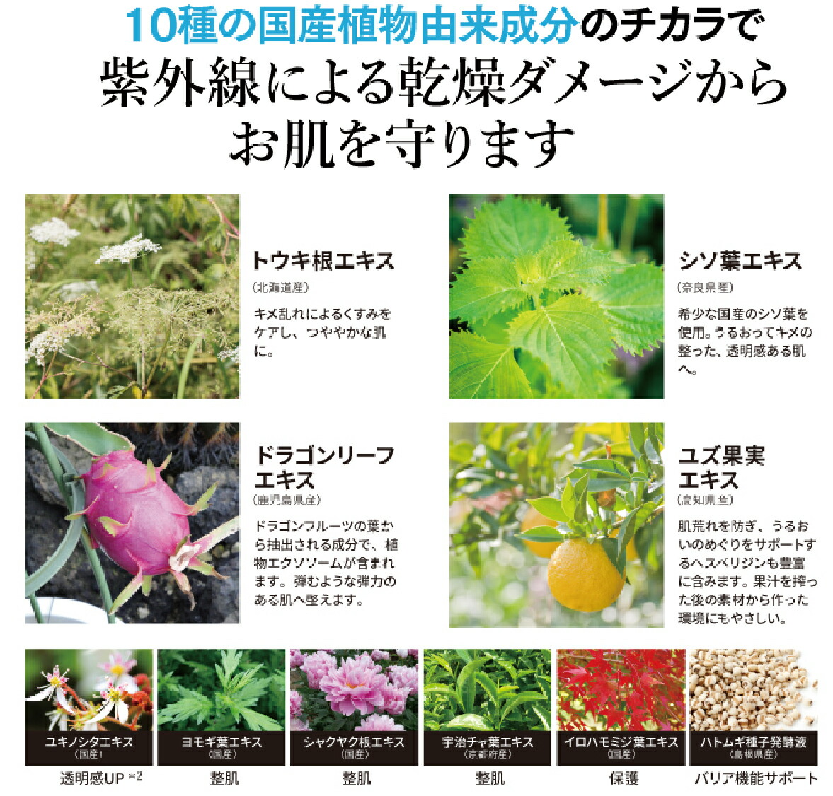 FTC ナチュラル UVクリーム X (TEN) 送料無料 君島十和子 化粧品