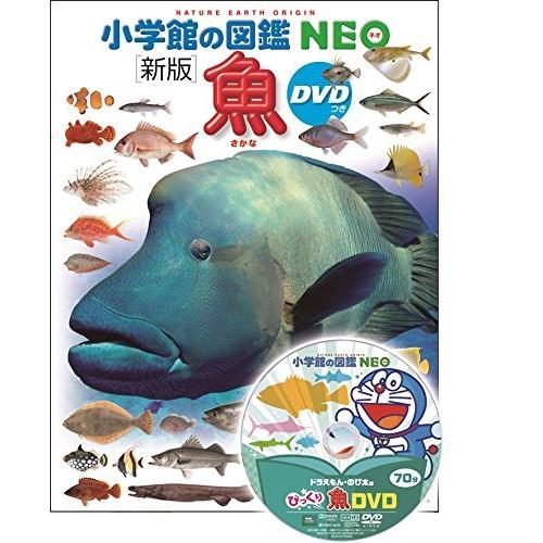 るり　小学館　図鑑　NEO 魚　他　全5冊 小学館の図鑑NEO〔新版〕魚 | 松沢陽士, 近江卓, 井田齊, 松浦