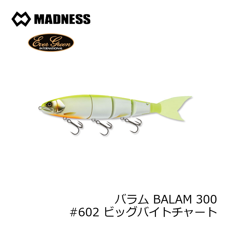 常緑植物 バラム Balam 300 602 ビッグ働き口図 釣具 釣り道具 Cjprimarycares Com