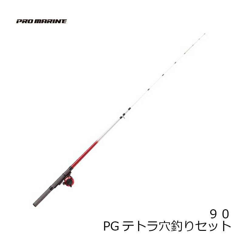 楽天市場 Pg テトラ穴釣り セット 90 磯波止釣り入門 お買い物マラソン ポイント最大44倍 釣具のfto