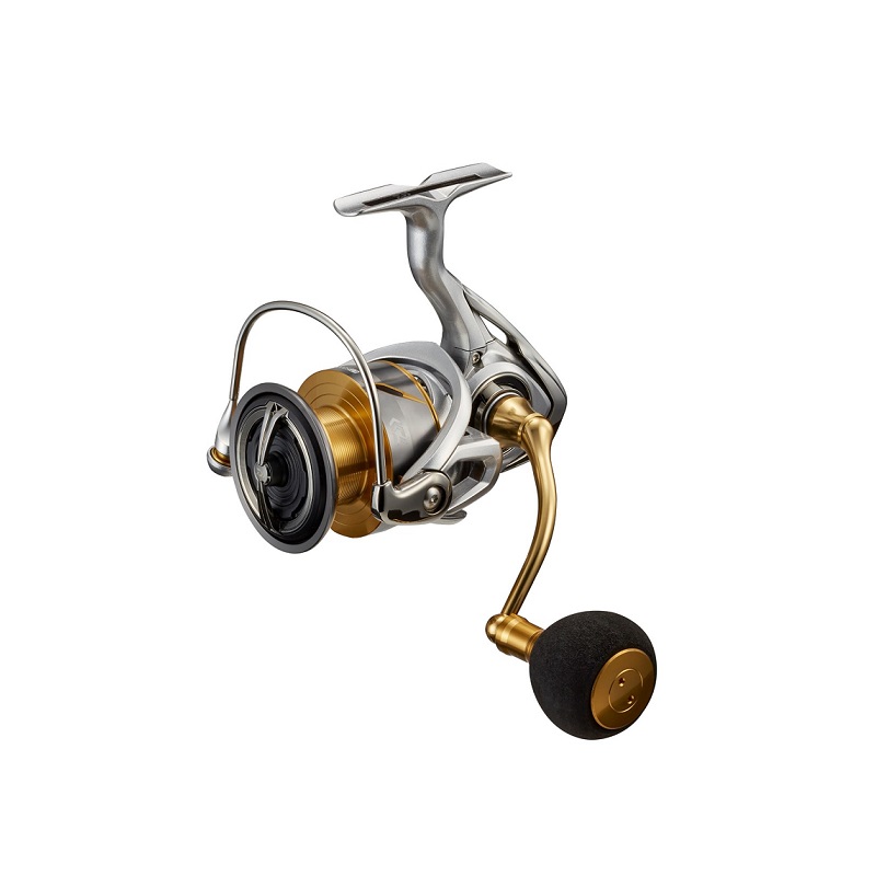 最大5000円OFFクーポン ダイワDAIWA 21 フリームス LT5000-CXH - 通販