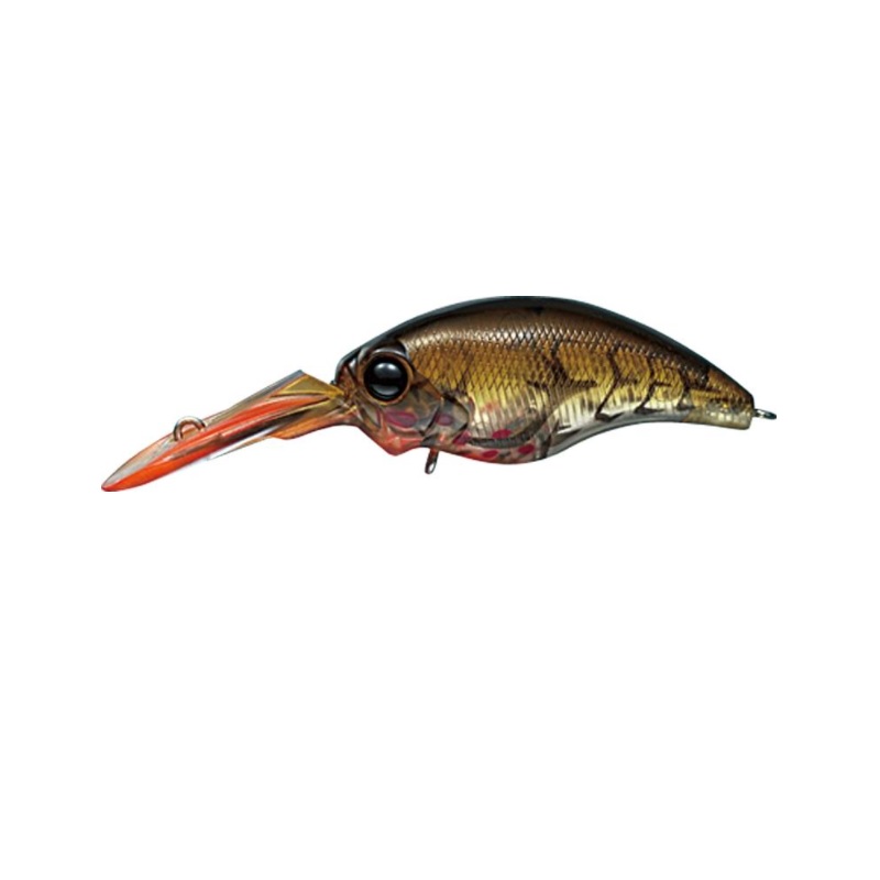 楽天市場】エバーグリーン（EverGreen） ワイルドハンチ カラー18～83