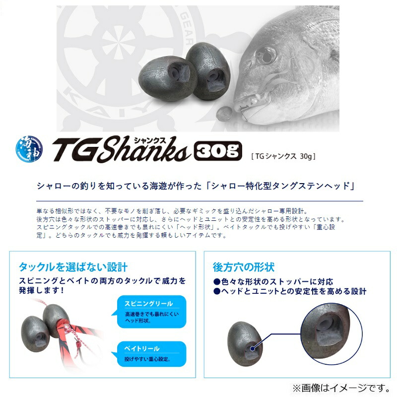 海遊 海神TGシャンクス タングステンタイラバ 160g 無塗装 KAIYU SQcxv0pG8n, 釣り - www.hurriyetmax.com