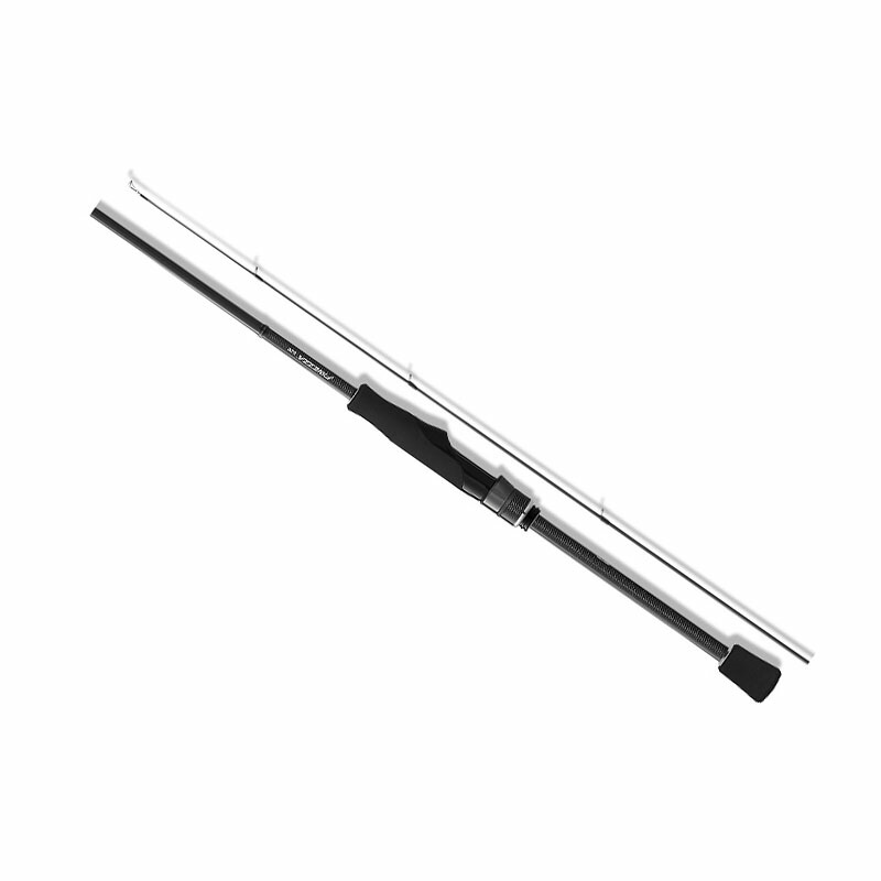 楽天市場】オリムピック 24フィネッツァプロトタイプ 24GFINPS-842ML-T