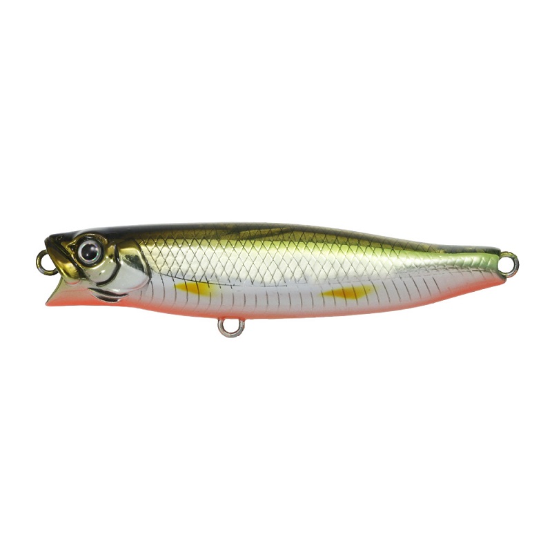 一誠　ワカペン55 3色 issei 一誠 G.C.ワカペン55 ネコポス対応商品 : ギル Yahoo店