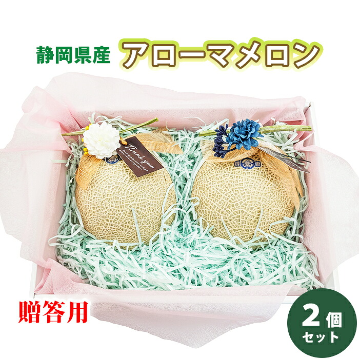 お中元 静岡県産 アローマメロン 2個 セット お中元の品 フルーツギフト 静岡 アローマ メロン 2玉 高級果物 おいしい メロン2玉 静岡名産 フルーツ ギフト 国産 メロンギフト フルーツ贈り物 高級メロン 静岡産 温室メロン 高級フルーツ マスクメロン 美味しい 甘い｜藤信フルーツ　店 9,240円