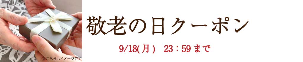 楽天市場】敬老の日 2024年度BCP策定 3日間防災用品 3DAYS 防災備蓄