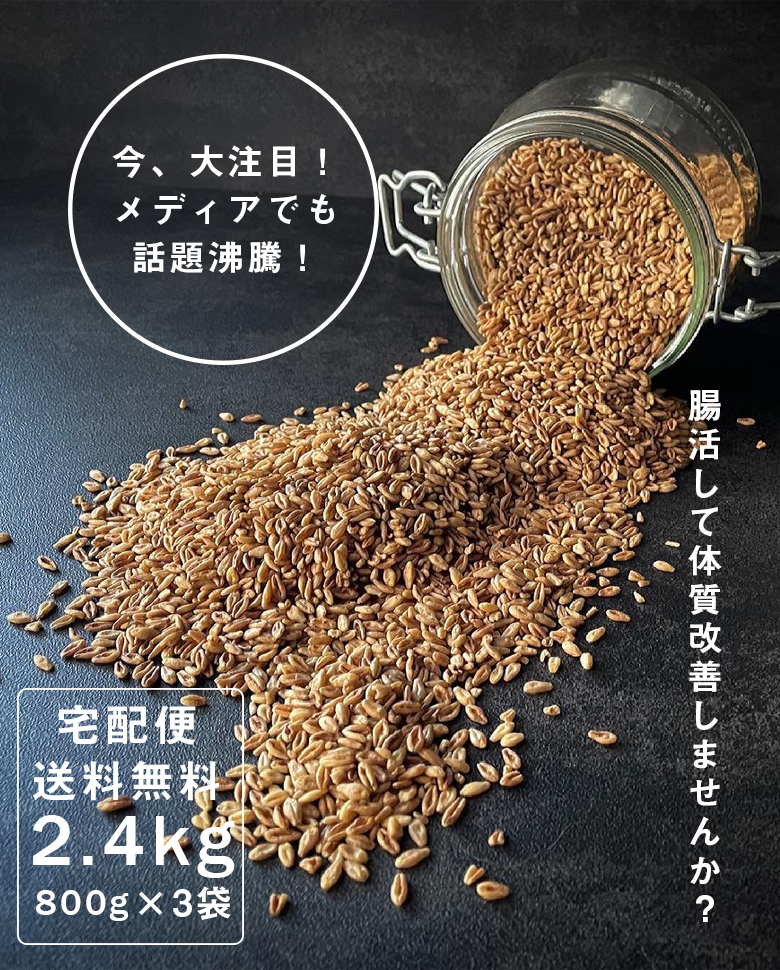 値下げ】 スーパー大麦 バーリーマックス 2.4kg 800g×3袋 食物繊維がもち麦の2倍 レジスタントスターチ ハイレジ β-グルカン フルクタン  大麦 玄麦 腸活 低糖質 糖質カット 糖質オフ 糖質制限 こめたつ 自然の蔵