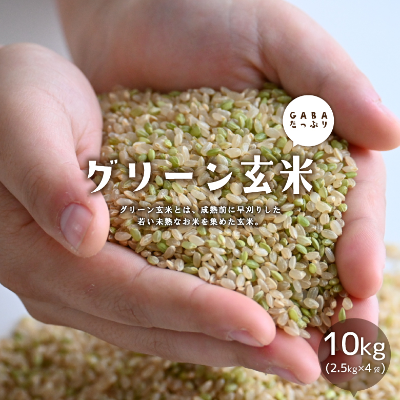 グリーン玄米  10kg(2.5kg×4袋) 玄米【送料無料】 送料無料 こめたつ 若い 未熟な 玄米 6年産 青玄米