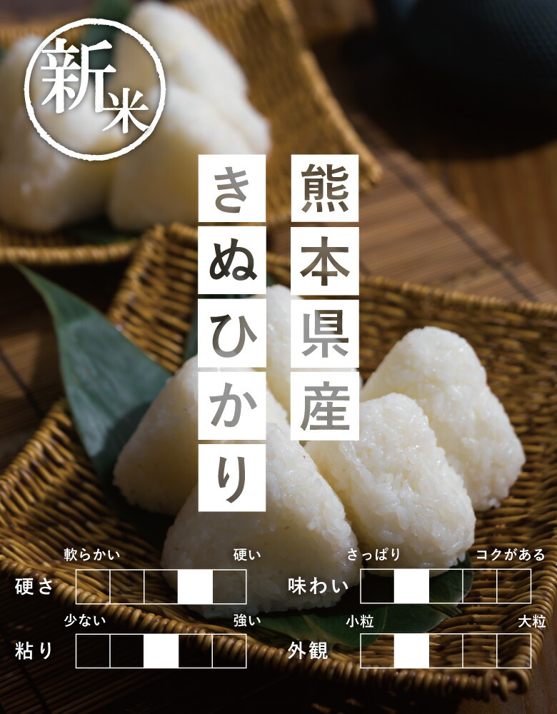 【令和4年産】熊本県産キヌヒカリ白米10kg(5kg×2袋)【米10kg送料無料】【お米10kg送料無料】米/お米/コメ【きぬひかり】【熊本県産】2年