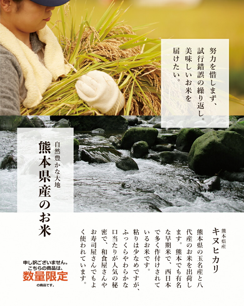 【令和4年産】熊本県産キヌヒカリ白米10kg(5kg×2袋)【米10kg送料無料】【お米10kg送料無料】米/お米/コメ【きぬひかり】【熊本県産】2年