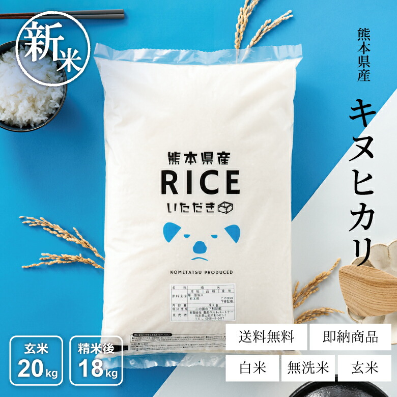 まあこ  お米　令和２年　愛媛県産キヌヒカリ　玄米　20㎏ 楽天市場】新米 米 白米 玄米 20kg 送料無料 キヌヒカリ 熊本県