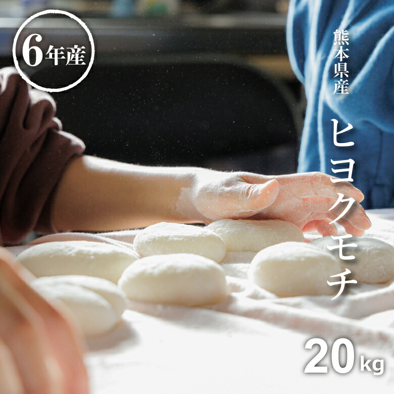 もち米 20kg 餅米 20kg 5kg×4袋 送料無料 ヒヨクモチ 熊本県産 令和6年産 米20kg 送料無料 モチ米 20kg 送料無料 コメ ひよくもち もち米 20kg 送料無料 備蓄米 非常用
