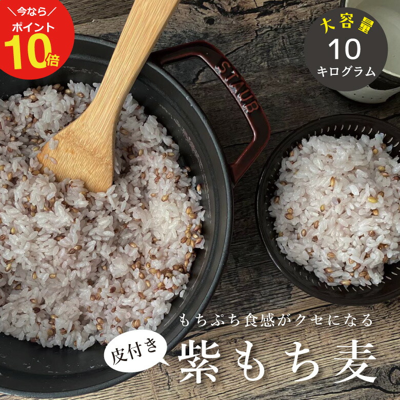 kayopinもち麦 精麦済10キロ mtmgi-10kg-p10.jpg