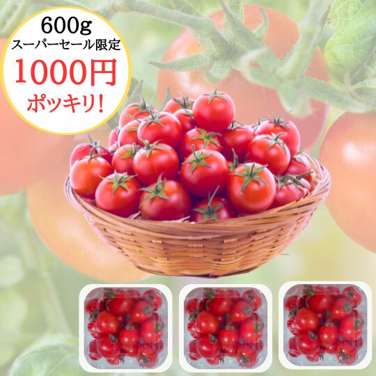 楽天市場】＼スーパーセール半額！／ 送料無料 ミニトマト 1.5kg
