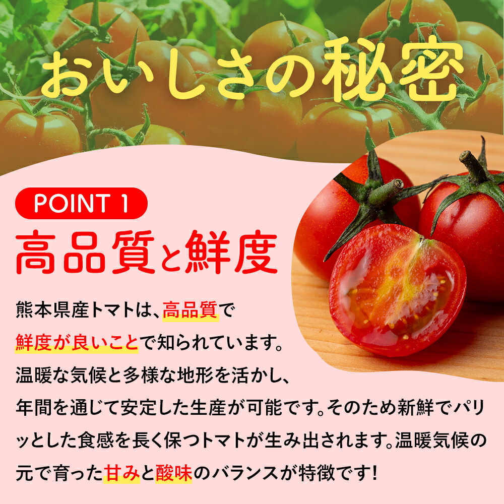 予約開始／ 送料無料 奇跡の ミニトマト トマト プチトマト 小鈴 千果