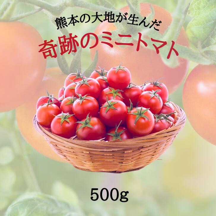 楽天市場】ギフト プレゼント《プチルージュ1.2Kg（150g×8パック