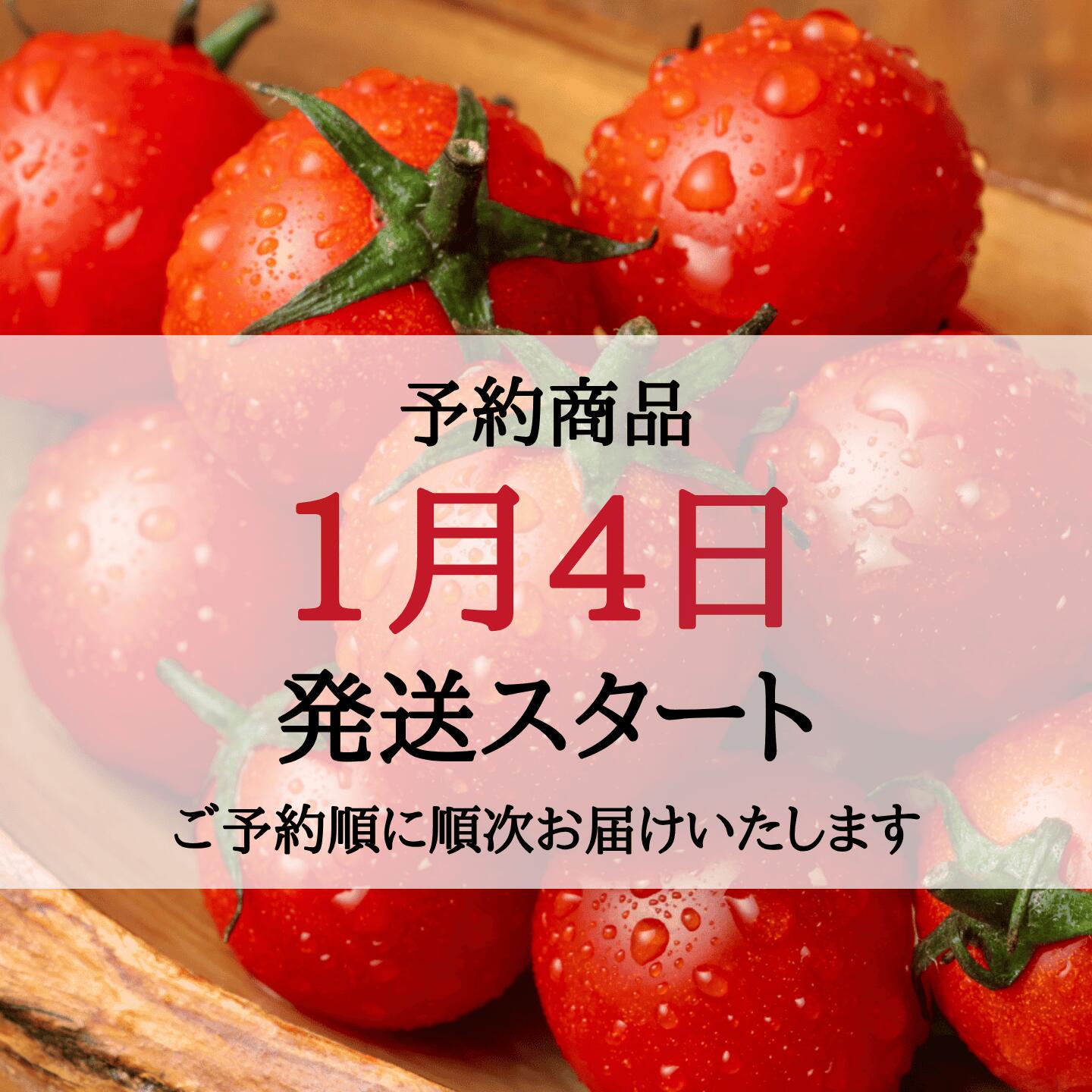予約開始／ 送料無料 奇跡の ミニトマト トマト プチトマト 小鈴 千果