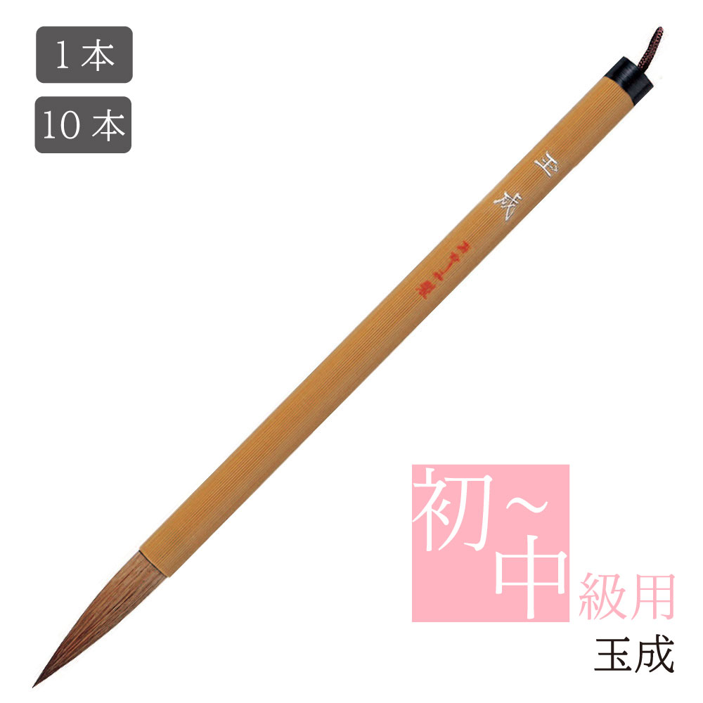 pl-71_name.jpg