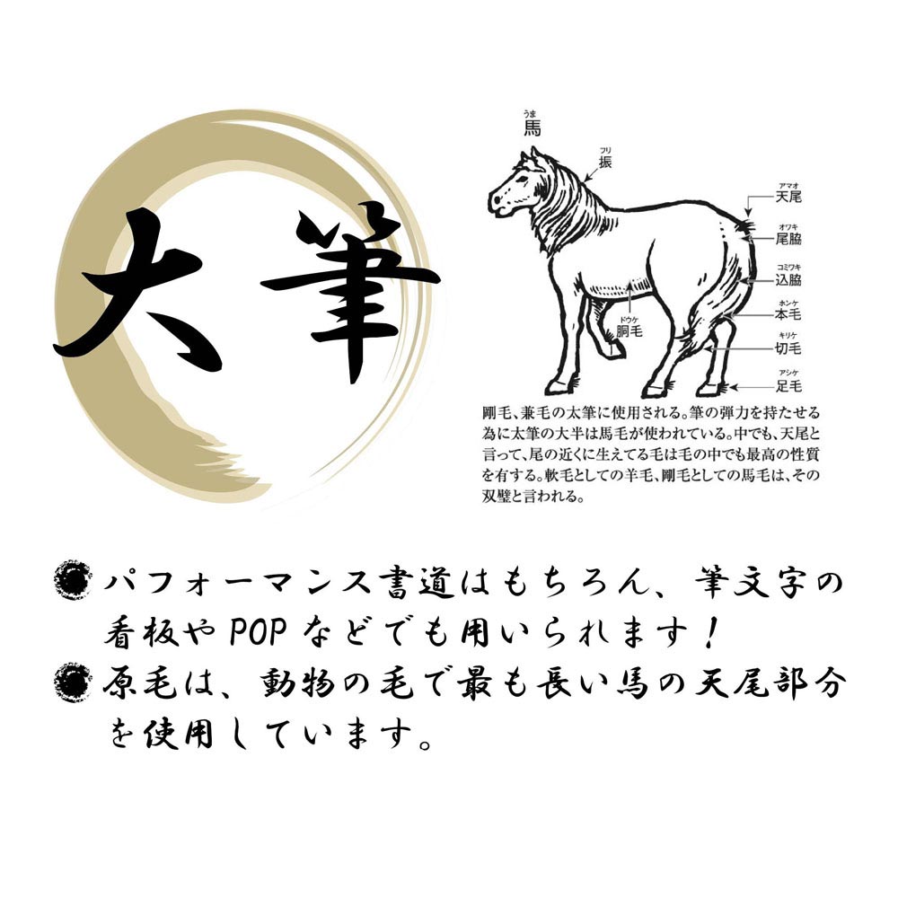 低廉 あかしや 書道用大筆 特製 江山風月 ２０号 書道筆 特大筆 パフォーマンス書道 パフォーマンス筆 作品用 馬毛 白尾毛 書家 書道家 アート書道  看板 題字 上級者用 奈良筆老舗 fucoa.cl