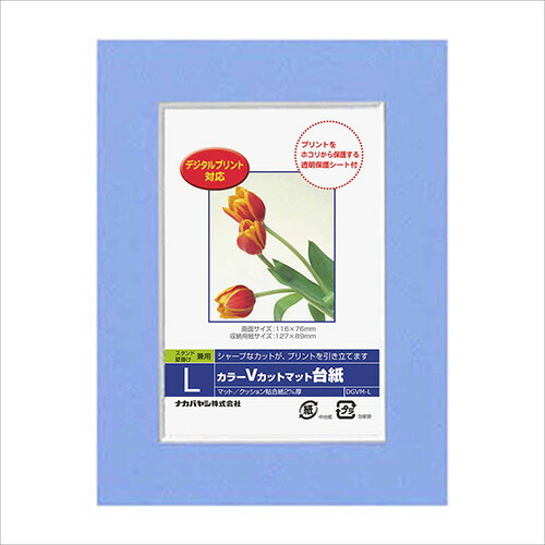 (未使用･未開封品)　ナカバヤシ フォトフレーム 額 カラーVカットマット台紙 A3 ピンク DGVM-A3-P sdt40b8 86437_4902205862062.jpg