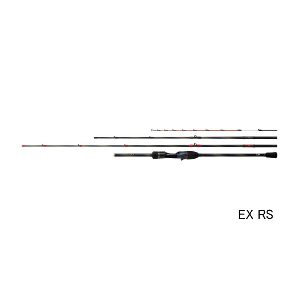 ≪'24年12月新商品！≫ ダイワ 極鋭 マルイカ EX RS 〔仕舞寸法 83cm〕 【保証書付】