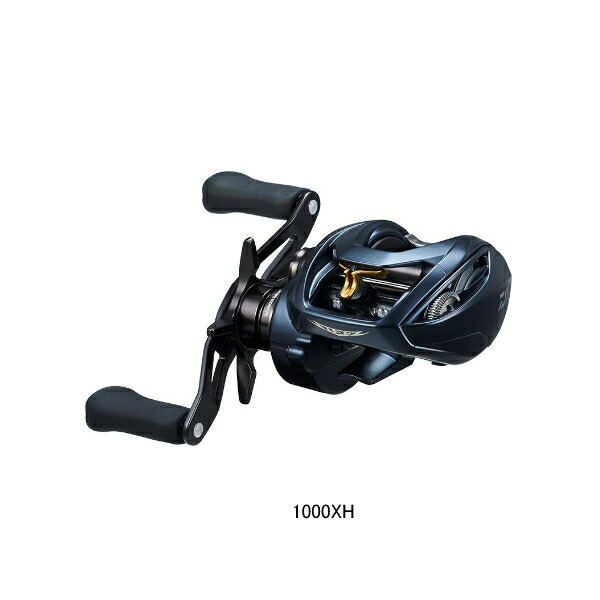 ダイワ　スティーズa2 23STEEZ A2 TW 1000XH DAIWA（ダイワ） STEEZ (スティーズ) A II TW 1000XH (右ハンドル