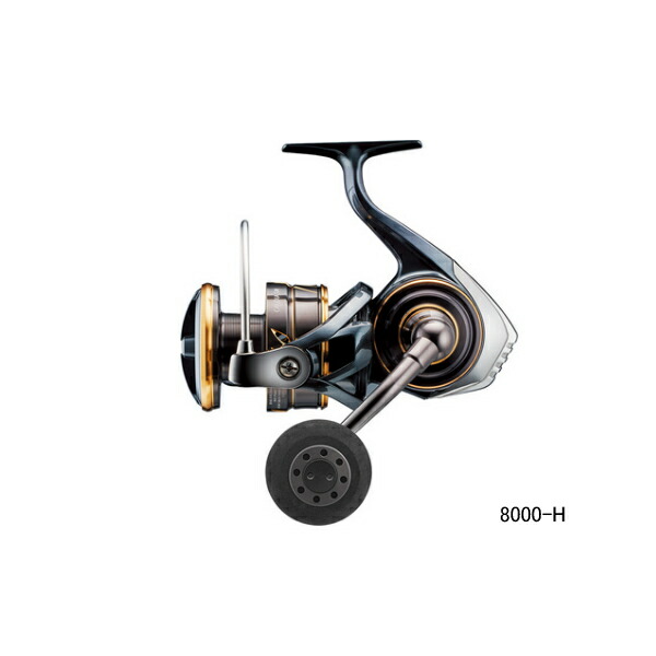 カルディア　SW 8000-P 楽天市場】≪'23年8月新商品！≫ ダイワ カルディア SW 8000-P 【小型