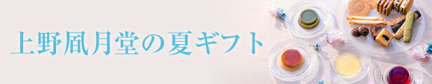 激安超特価 父の日 ギフト 内祝い お返し お供え 御供 法事 弔事 法要 ゴーフル ゴーフレット 上野風月堂公式 プティゴーフル 2枚入り×12袋  dprd.jatimprov.go.id